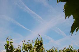 0201.10.2004: 12 Uhr 07 klassisches Gittermuster durch intensive Wolkenbildungs-Tätigkeiten in unterschiedlichen Auflösungsphasen.