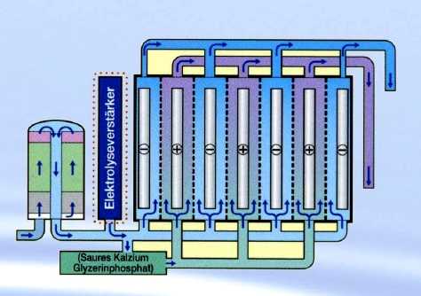 7 Elektroden im Gert