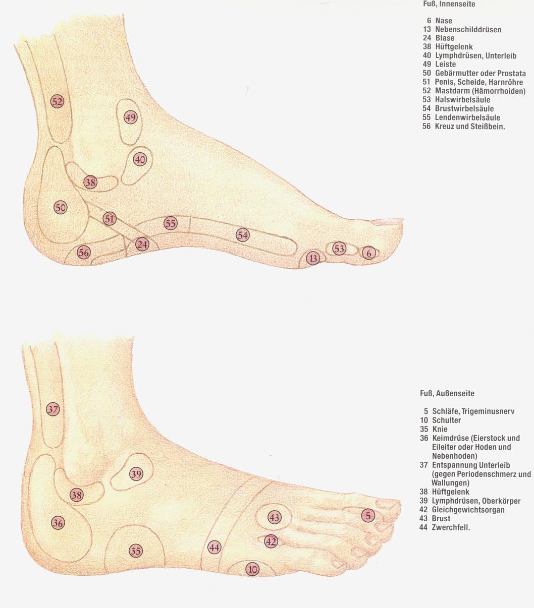 Reflexpunkte an Fu-Innen- und -Auenseite