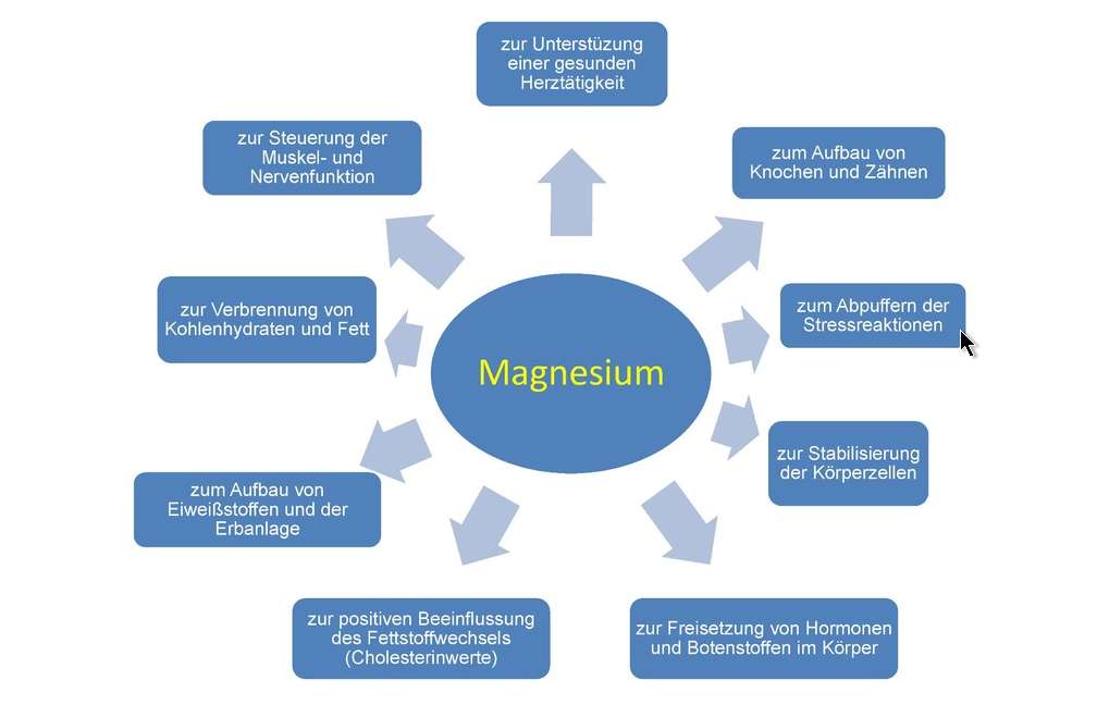 Magnesium-Wirkungen