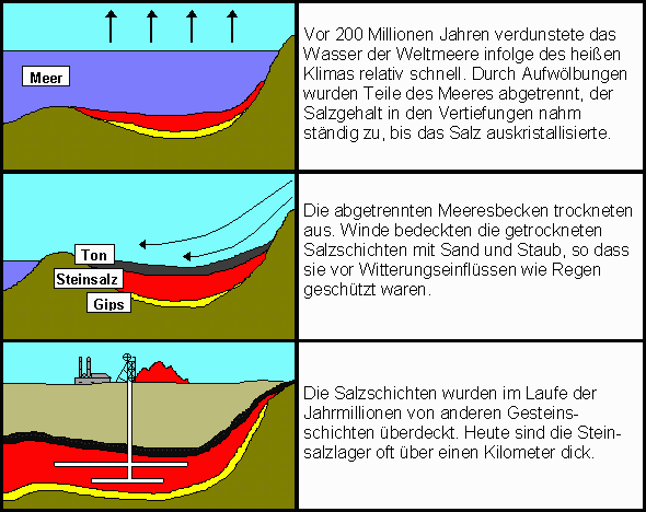 Salzbild