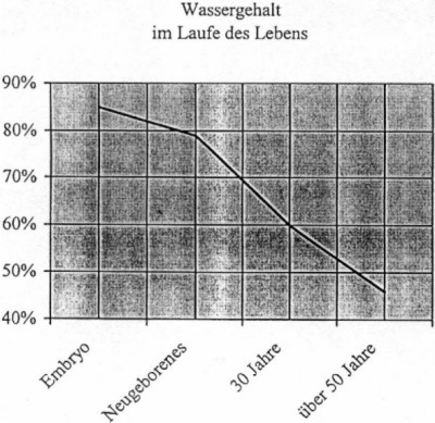 Wassergehalt im Laufe des Lebens