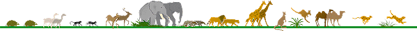 Abbild Tiere
