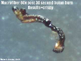 Durch Hitze geschmolzene Morgellons-Fiberfaser, Bildquelle: www.rense.com/general72/morg2a.htm