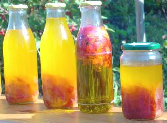 Hohe Flasche ist gnstiger als die krzere, breitere