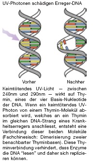 UV-C-Licht zerstrt DNA von Mikroben